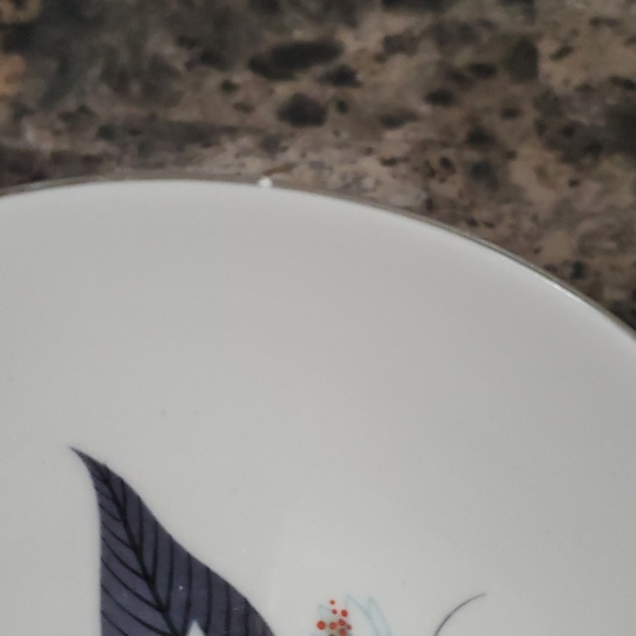 Lot 15 1950's Lotus Hai Rhythm by Homer Plates - Picture 9 of 12